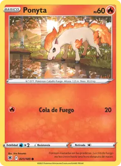 Ponyta